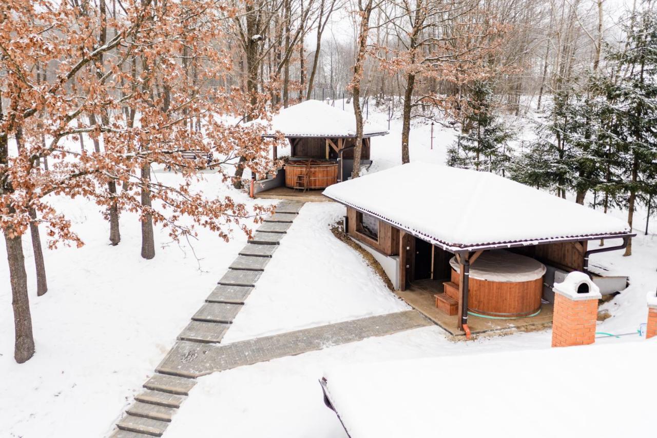 Transylvanian Relax House Lupeni  Exterior photo